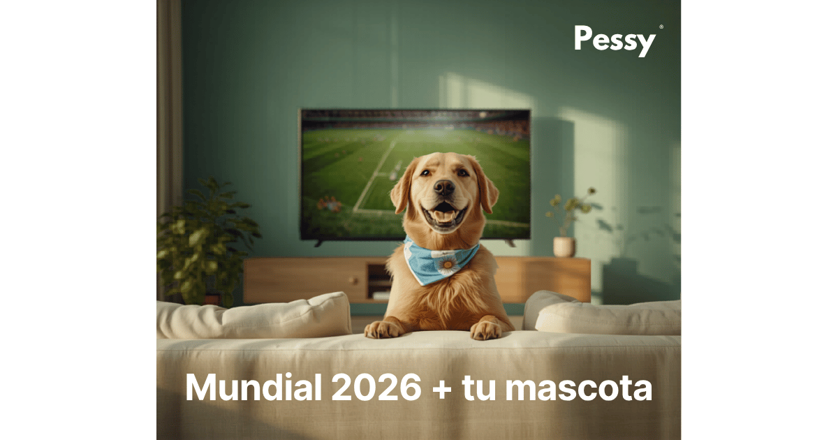 Razas de perro de Canadá: del Labrador al Esquimal canadiense